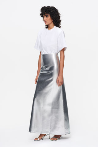 The Silver Skirt